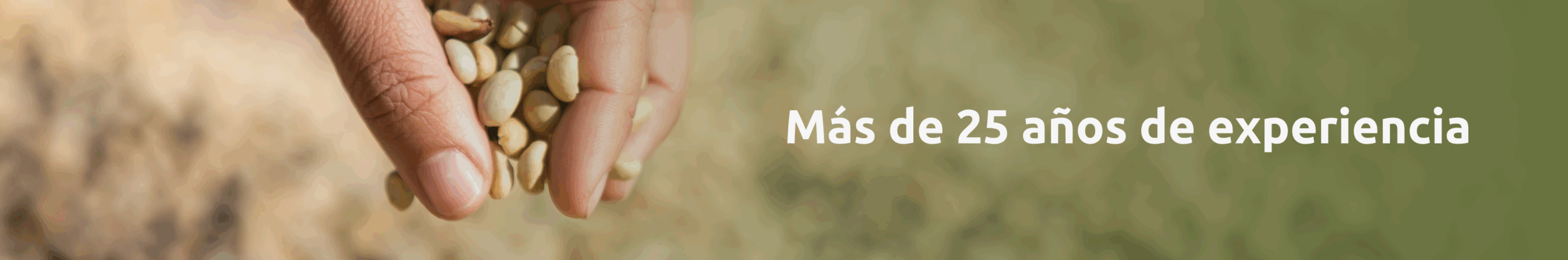 NIPPER Banner interno home scaled - Home