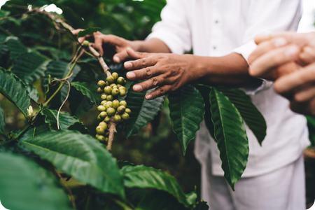 NIPPER WEB Imagenes internas 1 - Home