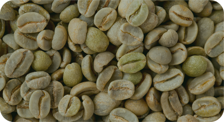 Home NIPPER WEB Imagenes internas Cafe verde - Home