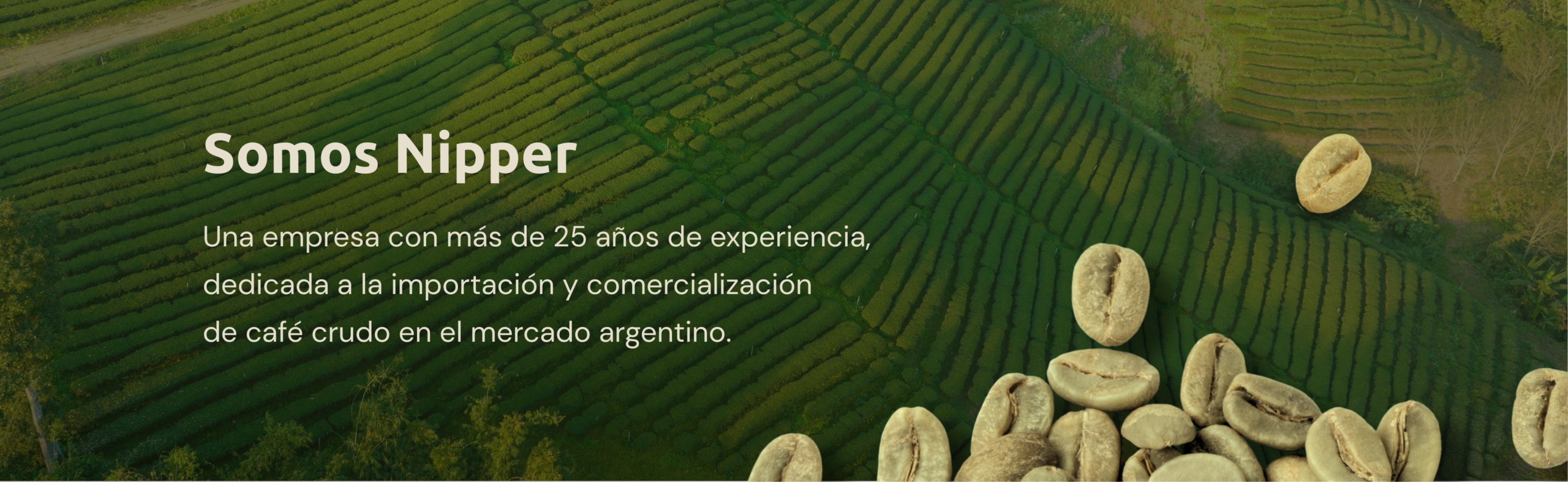 NIPPER BOARD  IDENTIDAD 1 scaled - Home