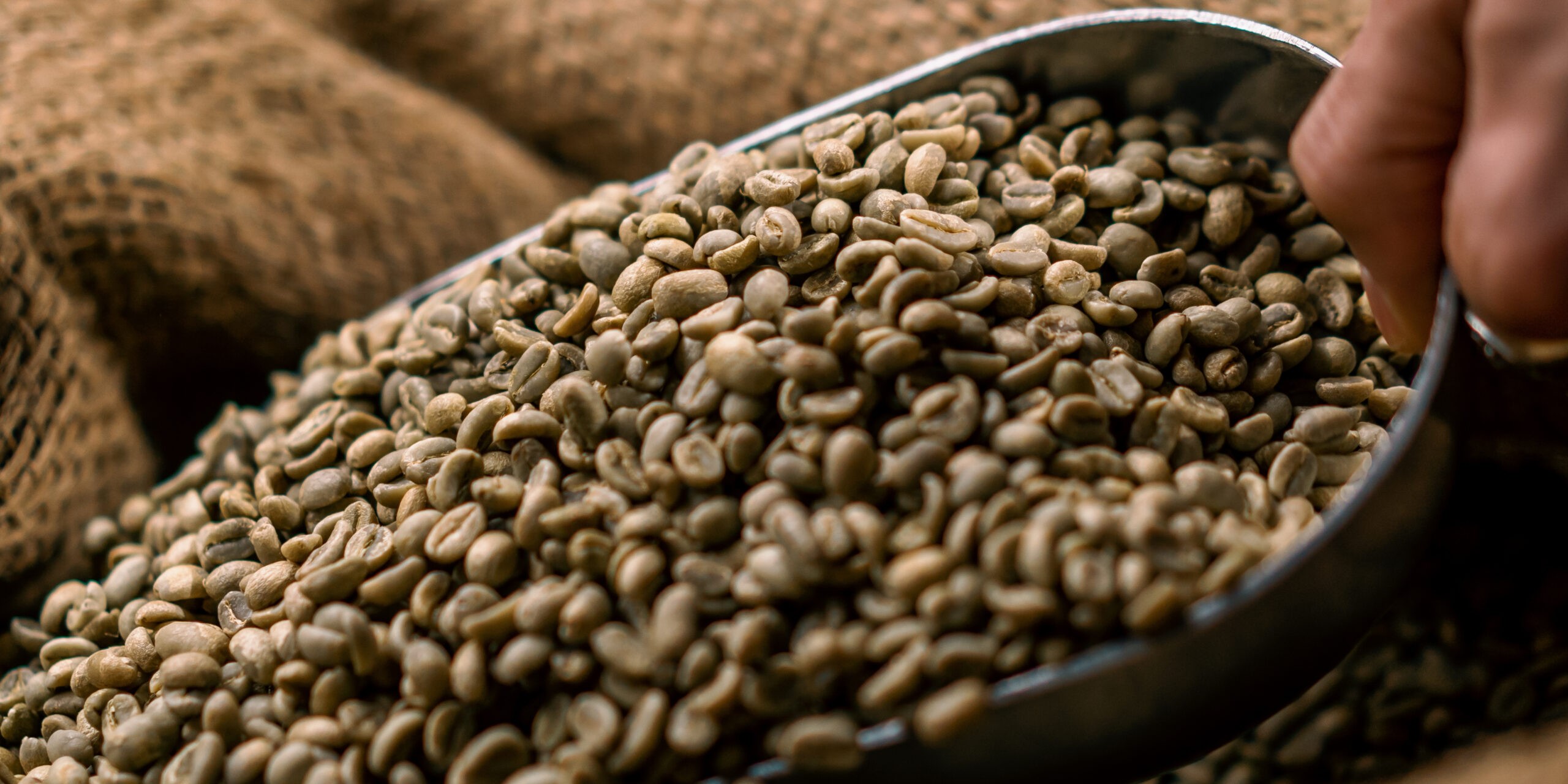 close up of green raw coffee beans lie in a bag wi 2024 12 02 15 56 08 utc scaled 1 - Servicios al cliente